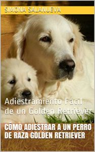 Cómo Adiestrar a Un Perro de Raza Golden Retriever (Simona Salanueva)