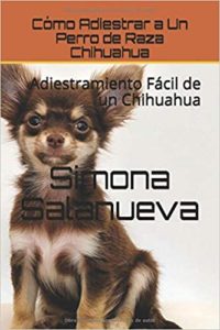 Cómo adiestrar a un perro de raza Chihuahua (Simona Salanueva)