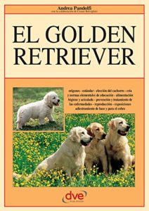 El golden retriever (Andrea Pandolfi)
