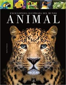 Enciclopedia ilustrada del mundo animal (Nuria Penalva Comendador)