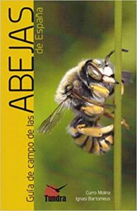 Guía de campo de las abejas de España (Curro Molina)