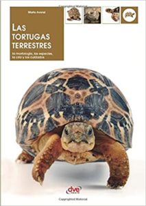 Las tortugas terrestres (Marta Avanzi)