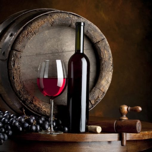 Los 5 mejores libros sobre el vino