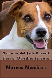 Secretos del Jack Russell (Marcos Mendoza)
