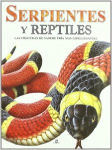 Serpientes y Reptiles (Susan Barraclough)