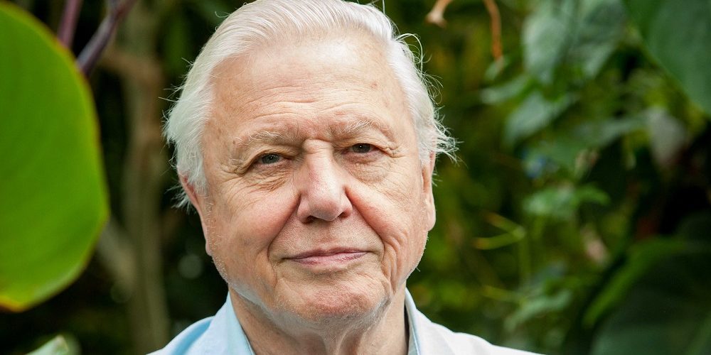 Los 3 mejores libros de David Attenborough