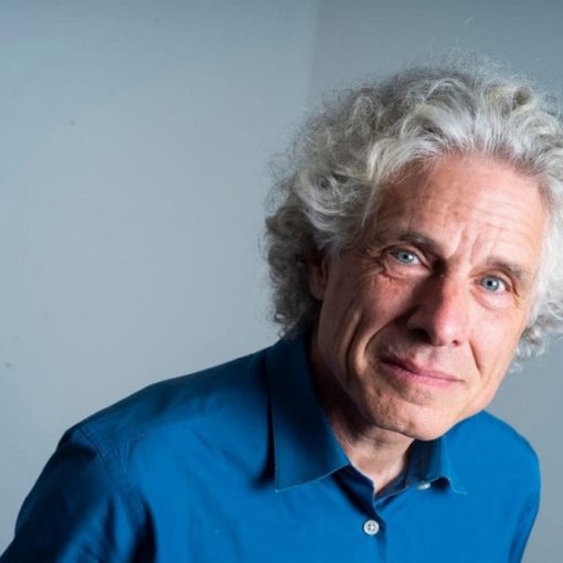 Los 7 mejores libros de Steven Pinker