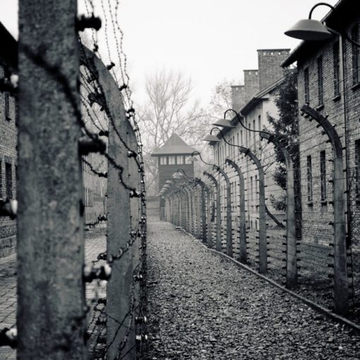 Los 50 mejores libros sobre el Holocausto